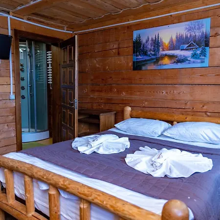 кремінь מלון