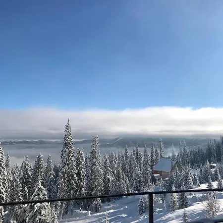 Отель кремінь *